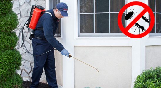 Balışeyh Kemirgen İlaçlama böcek ilaçlama ve haşere kontrolü — ilaclama-tr.com